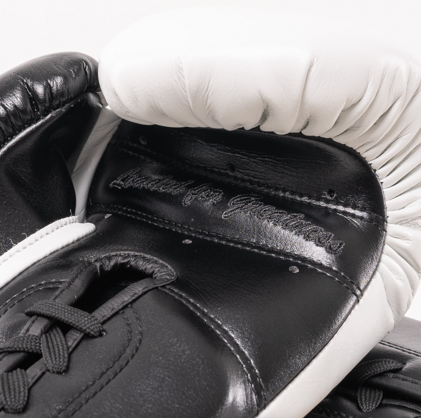 PRO SPARRING GLOVE (PSG)