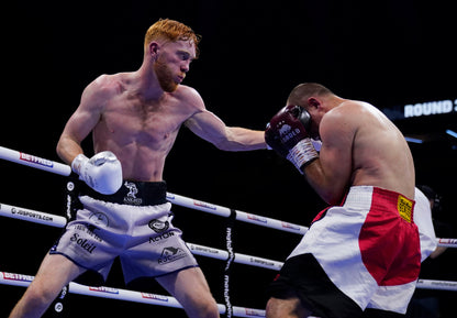 PRO FIGHT GLOVE-HH (PFG-HH)