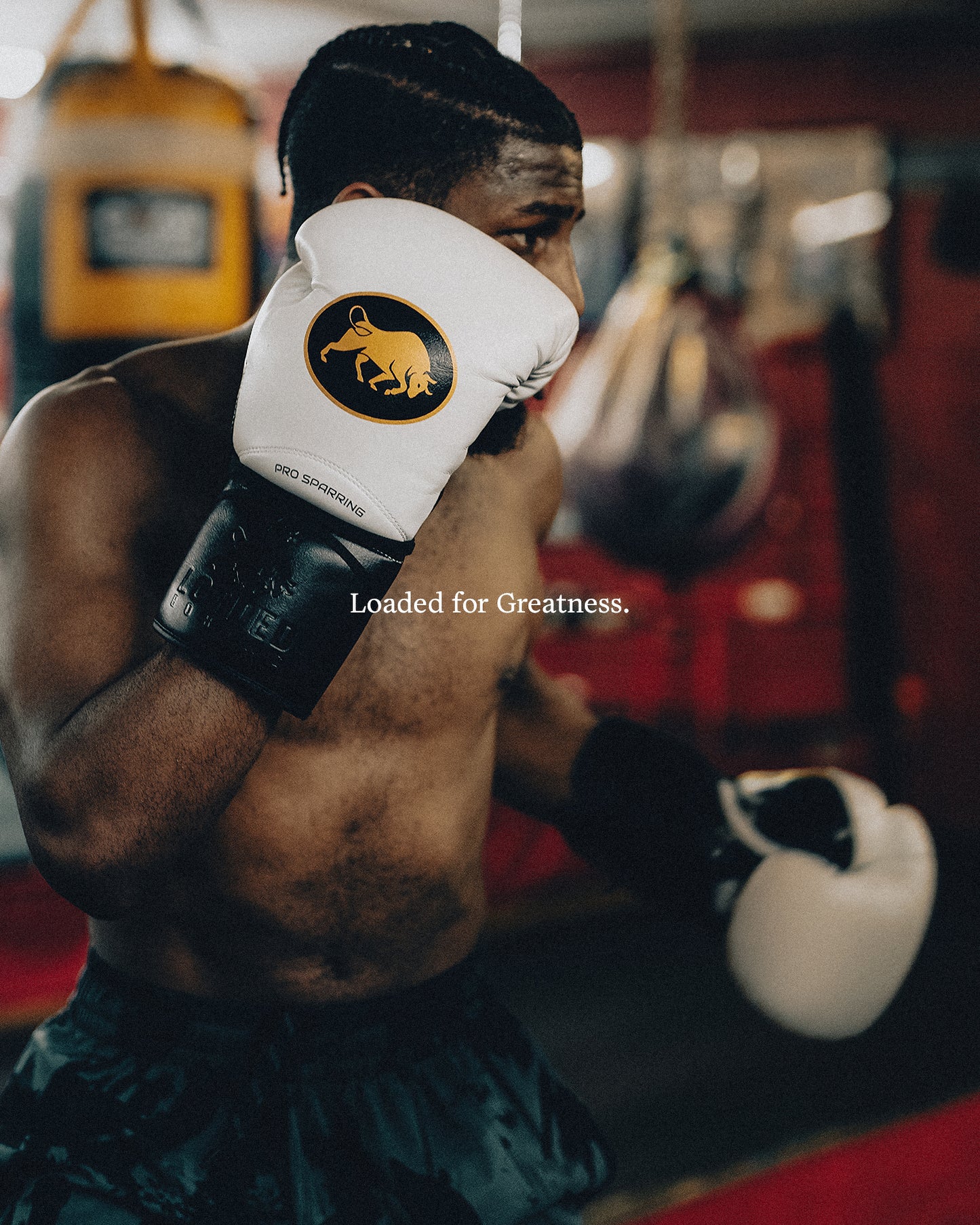 PRO SPARRING GLOVE (PSG)
