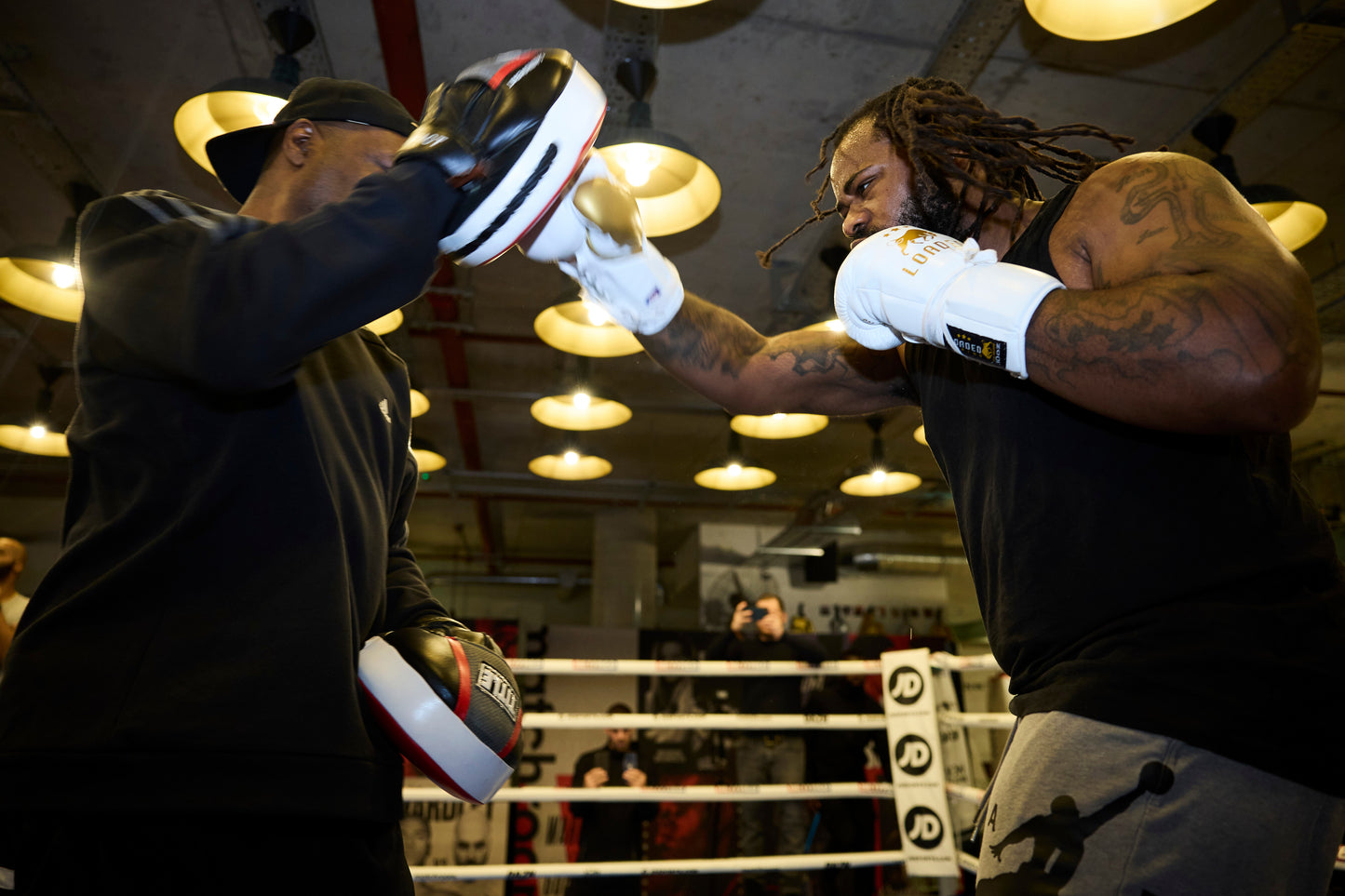 PRO FIGHT GLOVE-HH (PFG-HH)