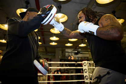 PRO FIGHT GLOVE-HH (PFG-HH)
