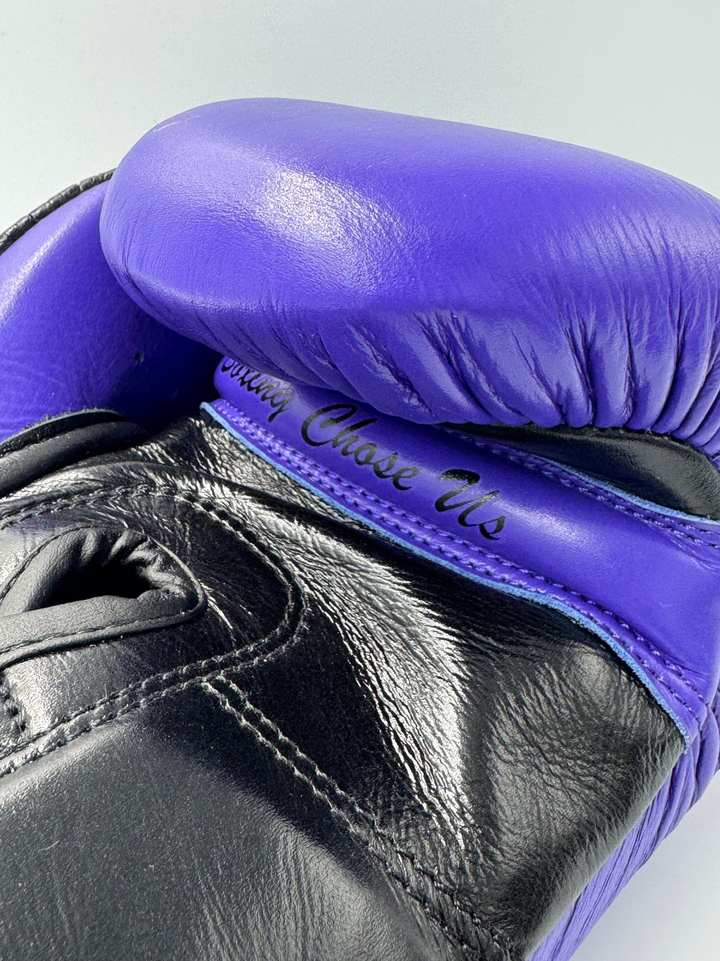 PRO TRAINING GLOVE (PTG)