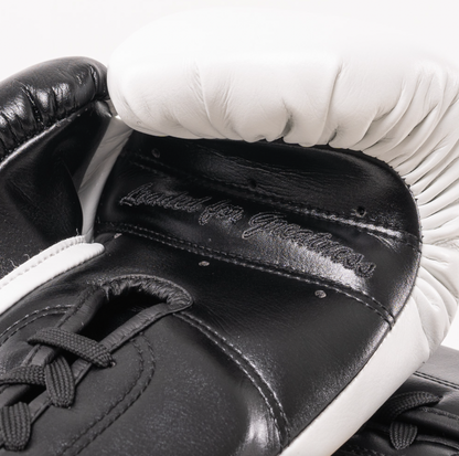 PRO SPARRING GLOVE (PSG)